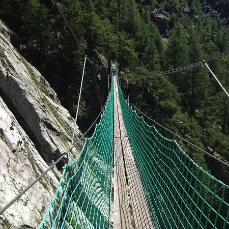 Aristella סאס-אלמאגל